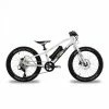 Ben-e-bike TWENTY E-Power E-Kinderfahrrad 20"