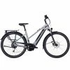 Pegasus Evo CX 750 E-Bike Trekkingrad