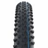 Schwalbe Racing Ray Evo MTB-Reifen (29")